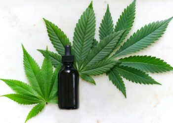 Paras CBD öljy vertailu