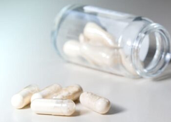 Paras maitohappobakteeri vertailu